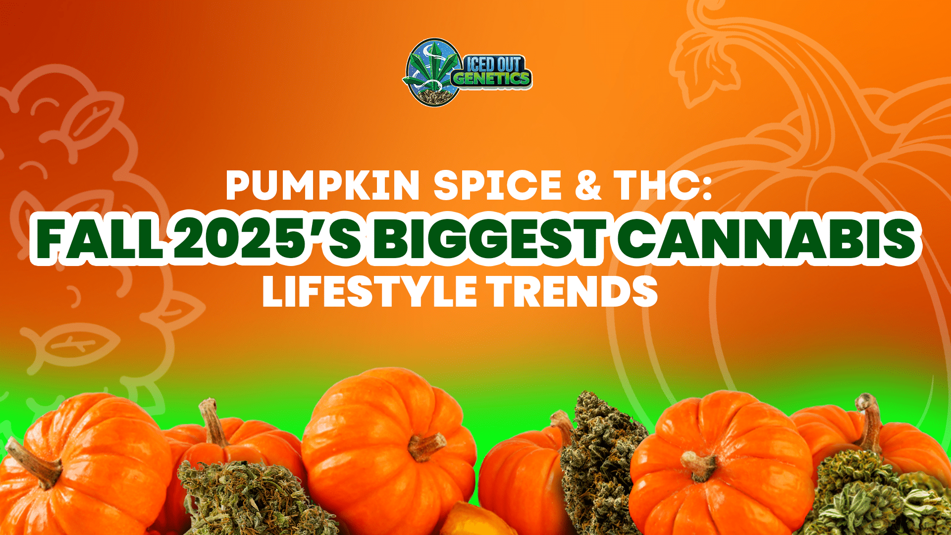 cannabis lifestyle trends