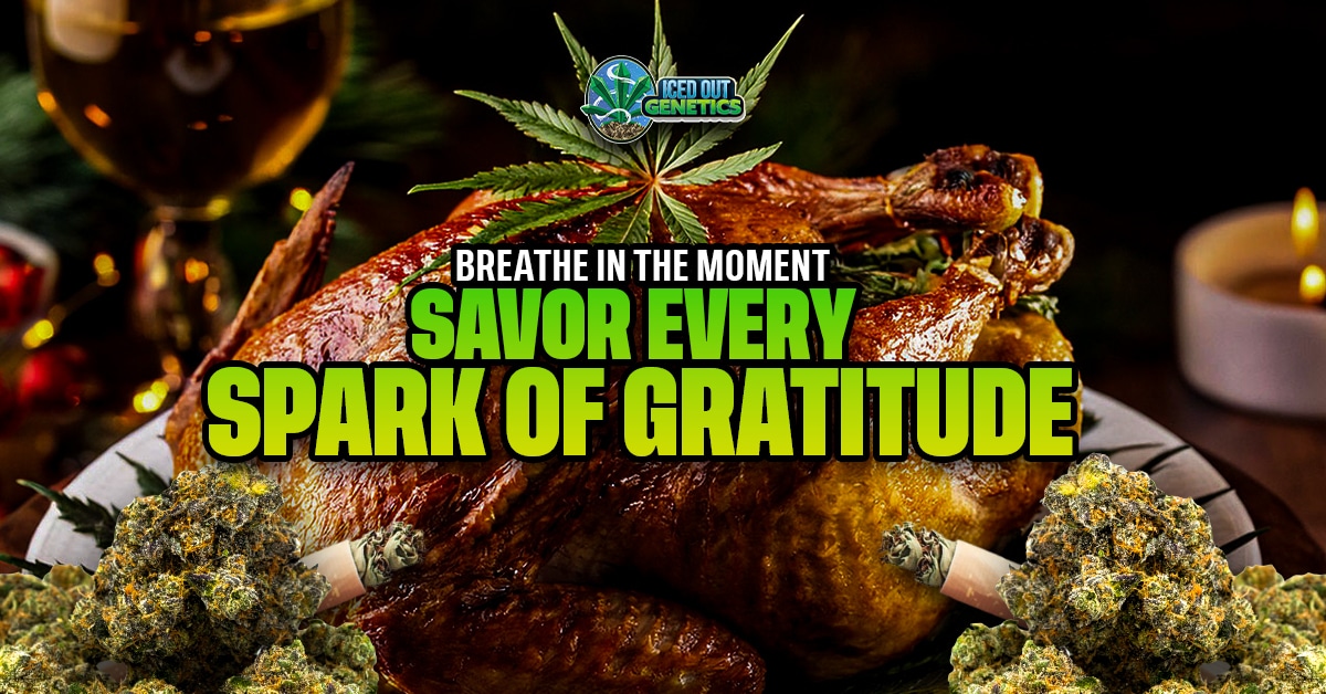 cannabis and thanksgiving