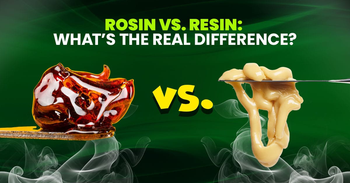 Rosin VS Resin
