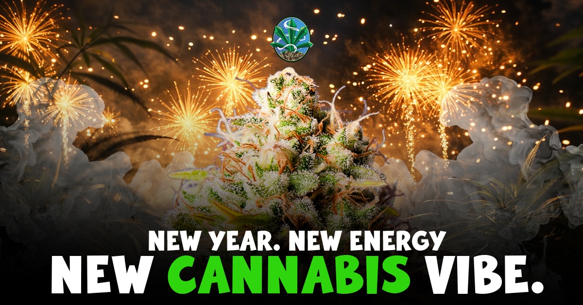 New Year Cannabis Vibe