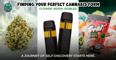 🧩 Optional Outbound Authority Link (Boosts SEO) (Use only one) Anchor text example: how different cannabis forms affect the body Suggested authority sites: Leafly NORML Project CBD (This helps RankMath’s “external links” score)