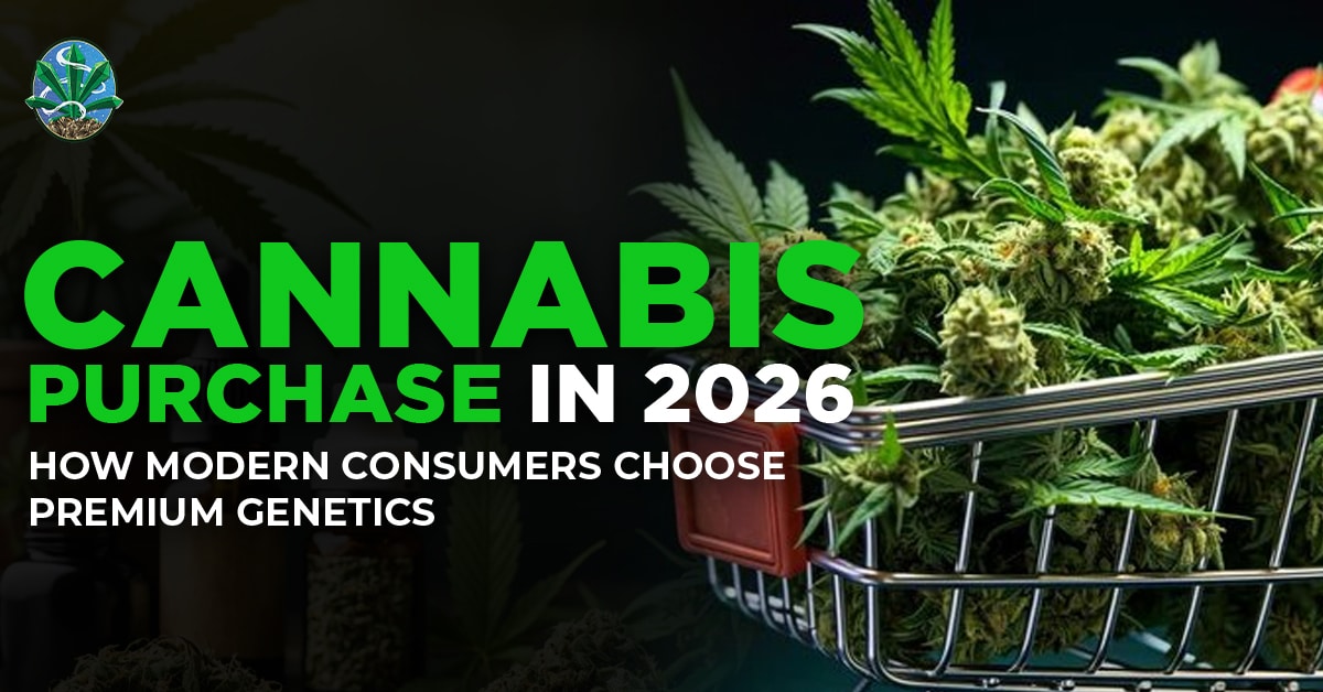 cannabis purchase 2026