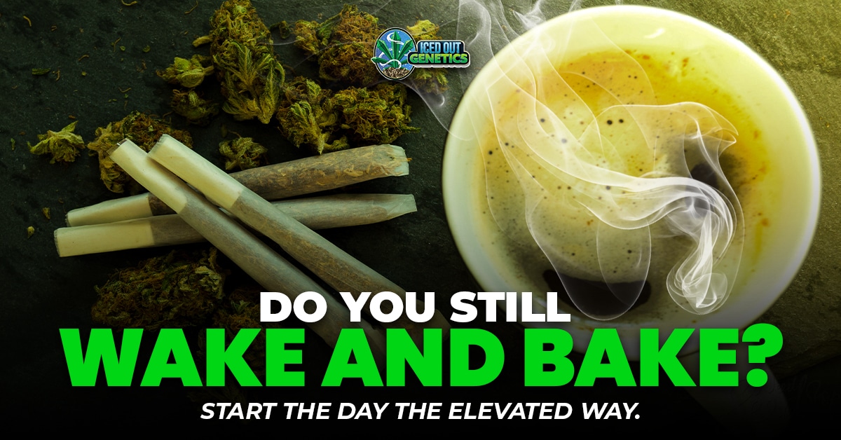 wake and bake culture