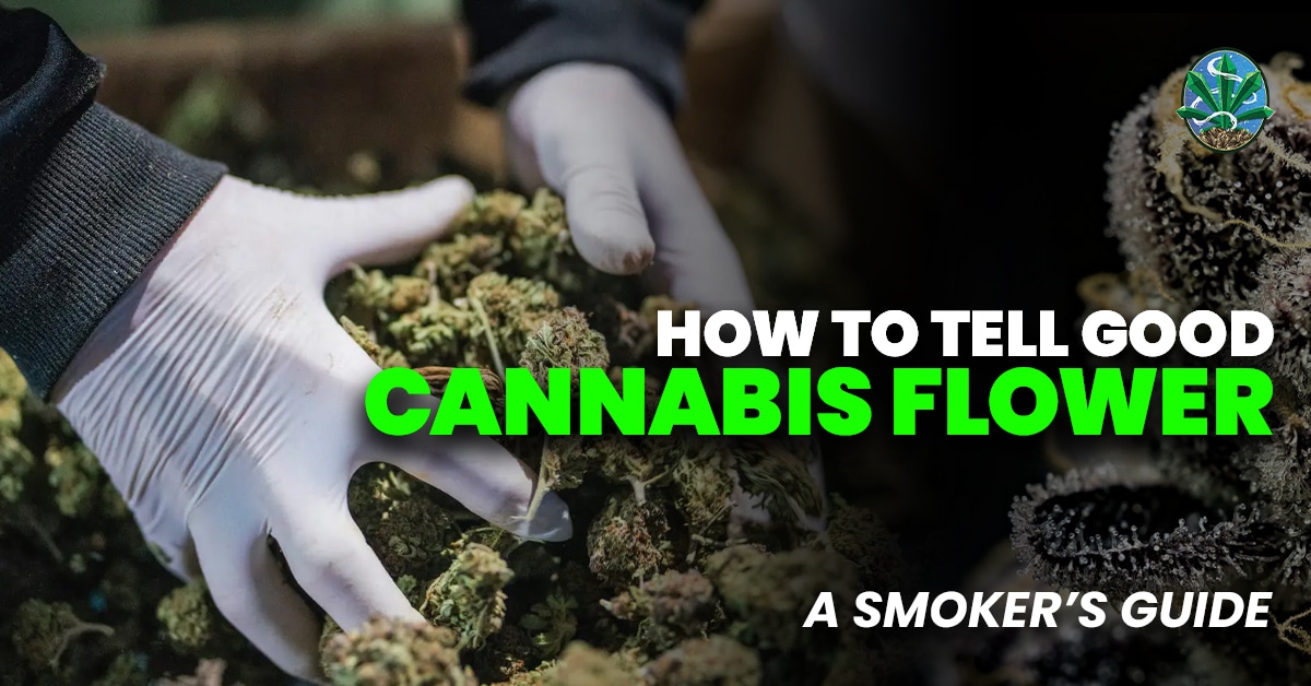how to tell good cannabis flower