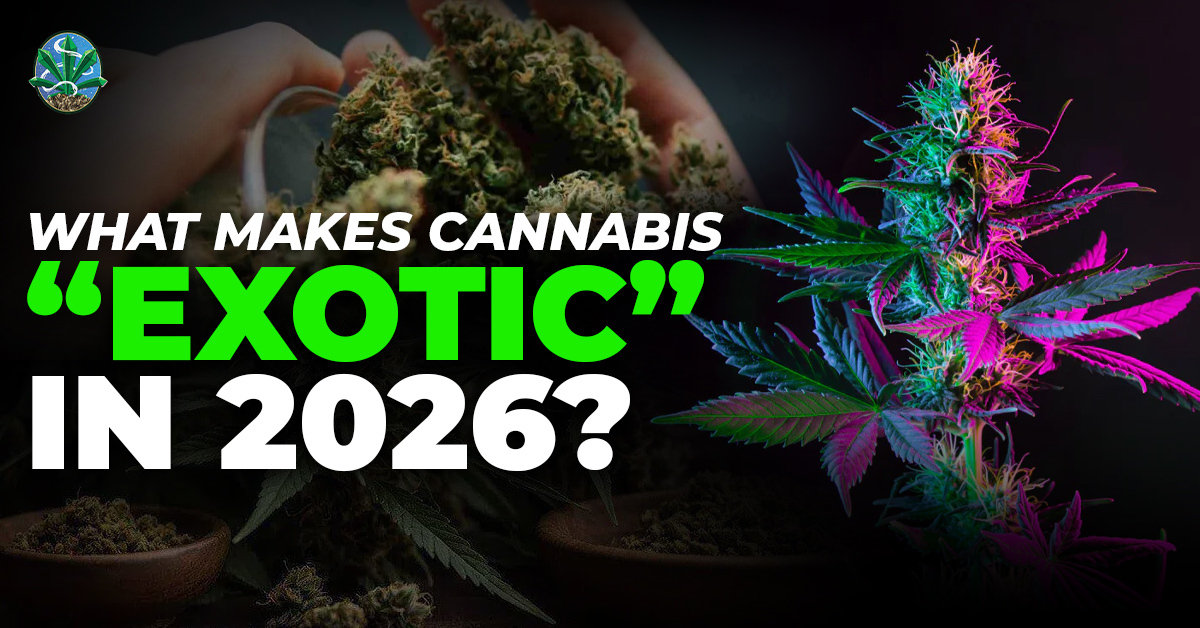 exotic meaning explained