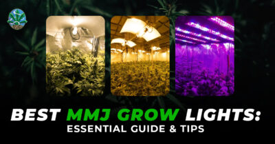 Indoor Grow Lights