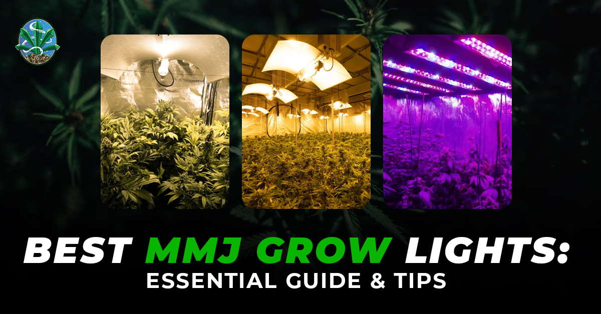 Indoor Grow Lights
