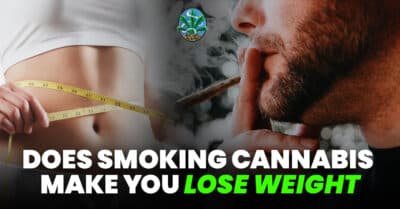 cannabis weight loss