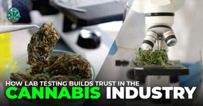 cannabis lab testing