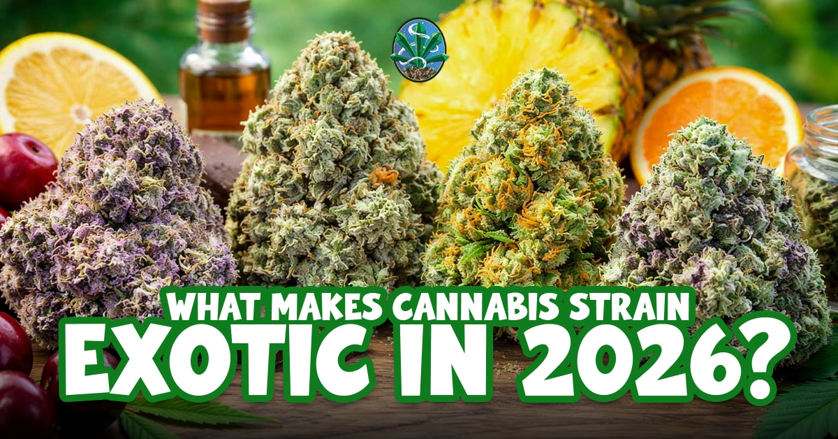 exotic weed