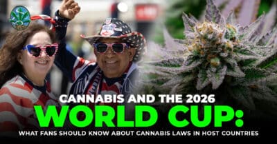 Cannabis World Cup