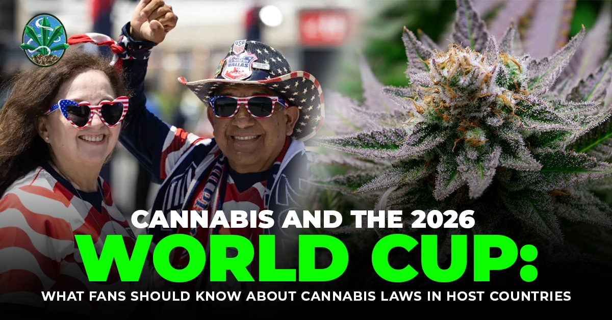 Cannabis World Cup